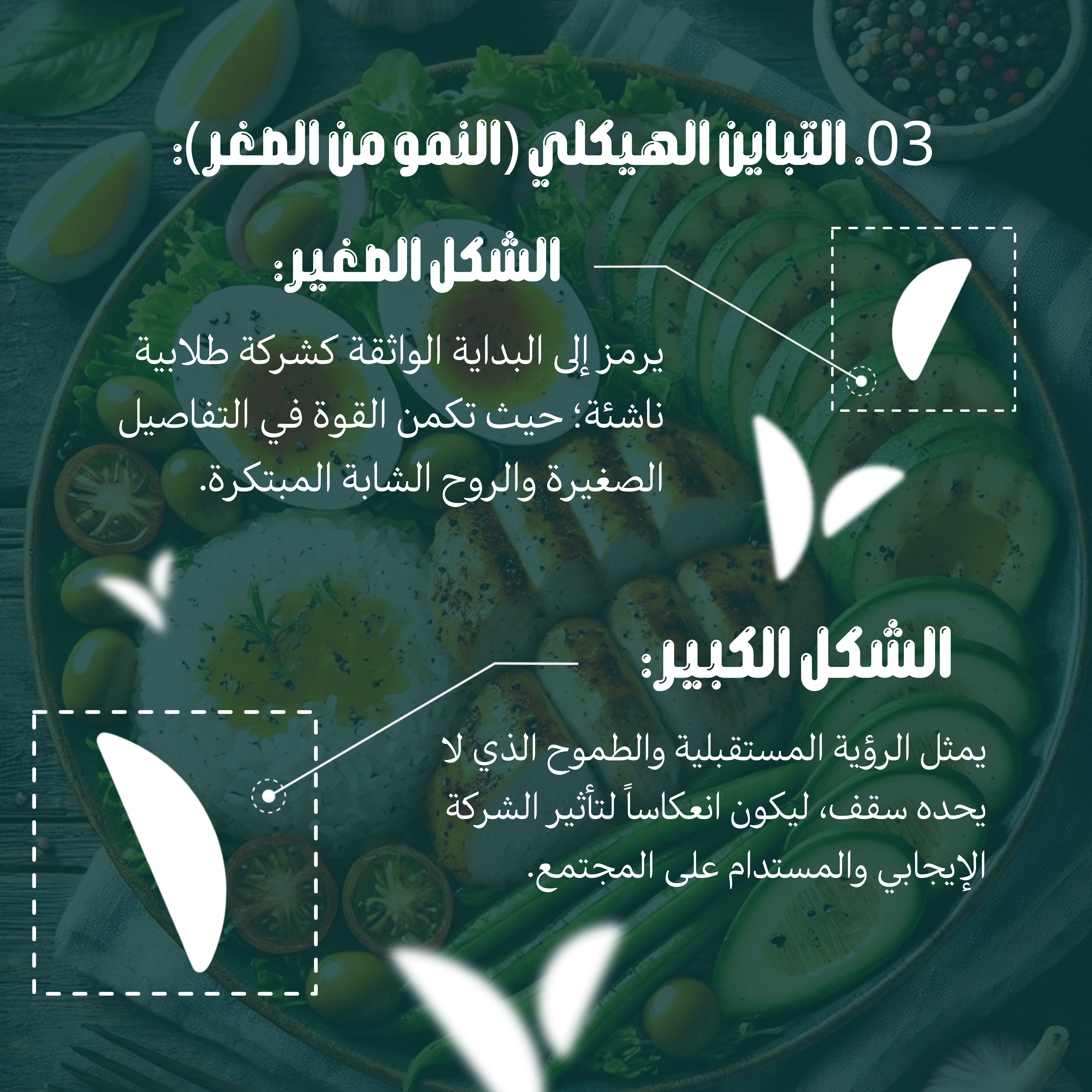 عن شعارنا ٢